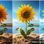 패션디자인 분야 인기 기업 소개 - Here are three detailed image generation prompts in English, adhering to all specified guidelines: